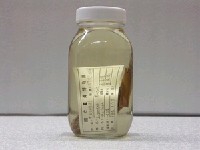 藏品(黑斑緋鯉)的圖片